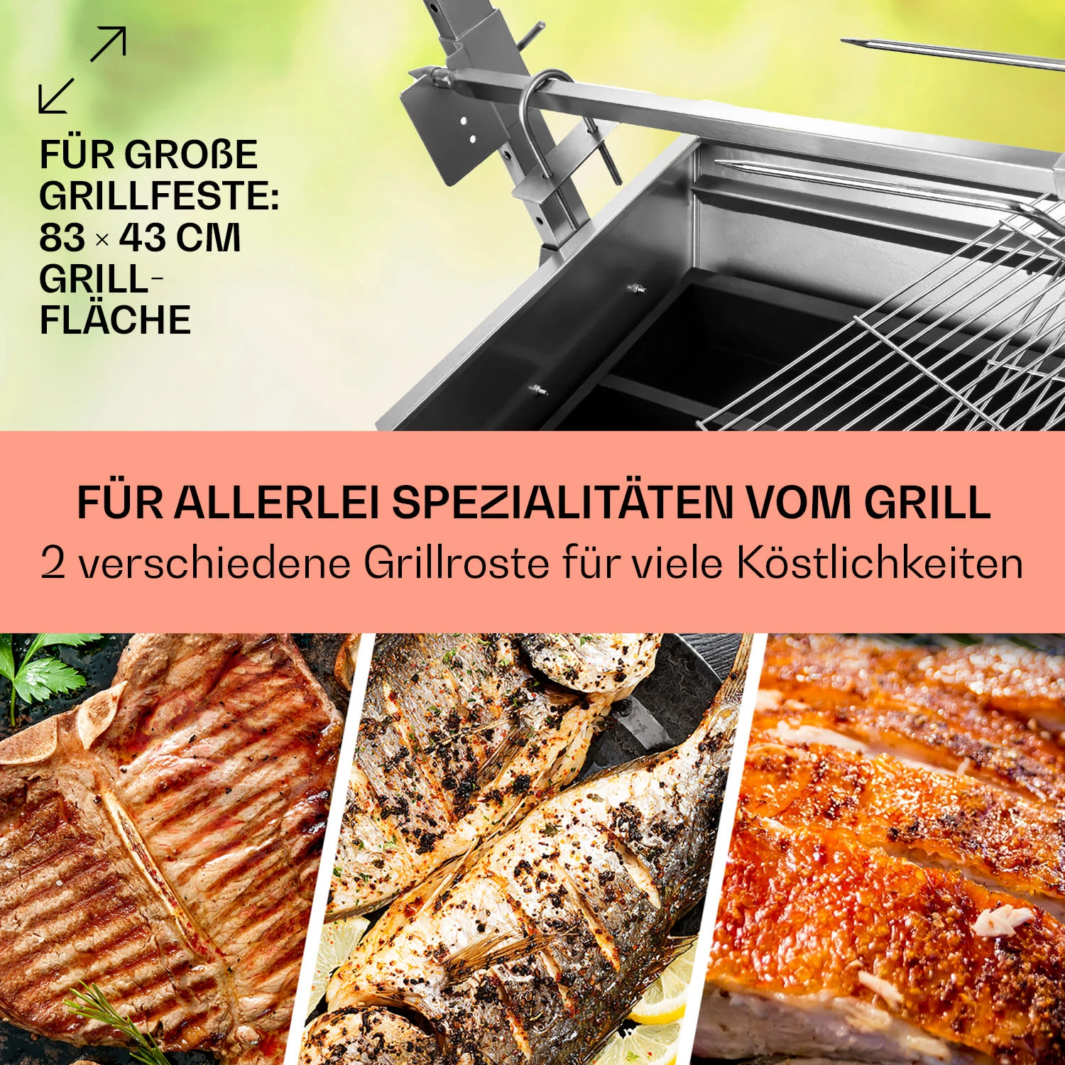 Sauenland Spanferkelgrill Mit Elektromotor Drehspieß 6 Sauenland Spanferkelgrill Mit Elektromotor Drehspieß – Bild 4