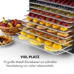Fruit Jerky Steel 10 Dörrautomat 10 Etagen 1000 W Fläche: 1,5 M² Timer -Heimladen 10028437 de 0004 logo