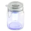Wetterfrosch LED-Stimmungslicht Gelb/blau Einweckglas Solar Akku -Heimladen 10030097 yy 0001 titel oneConcept Wetterfrosch Solarlicht LED Glas