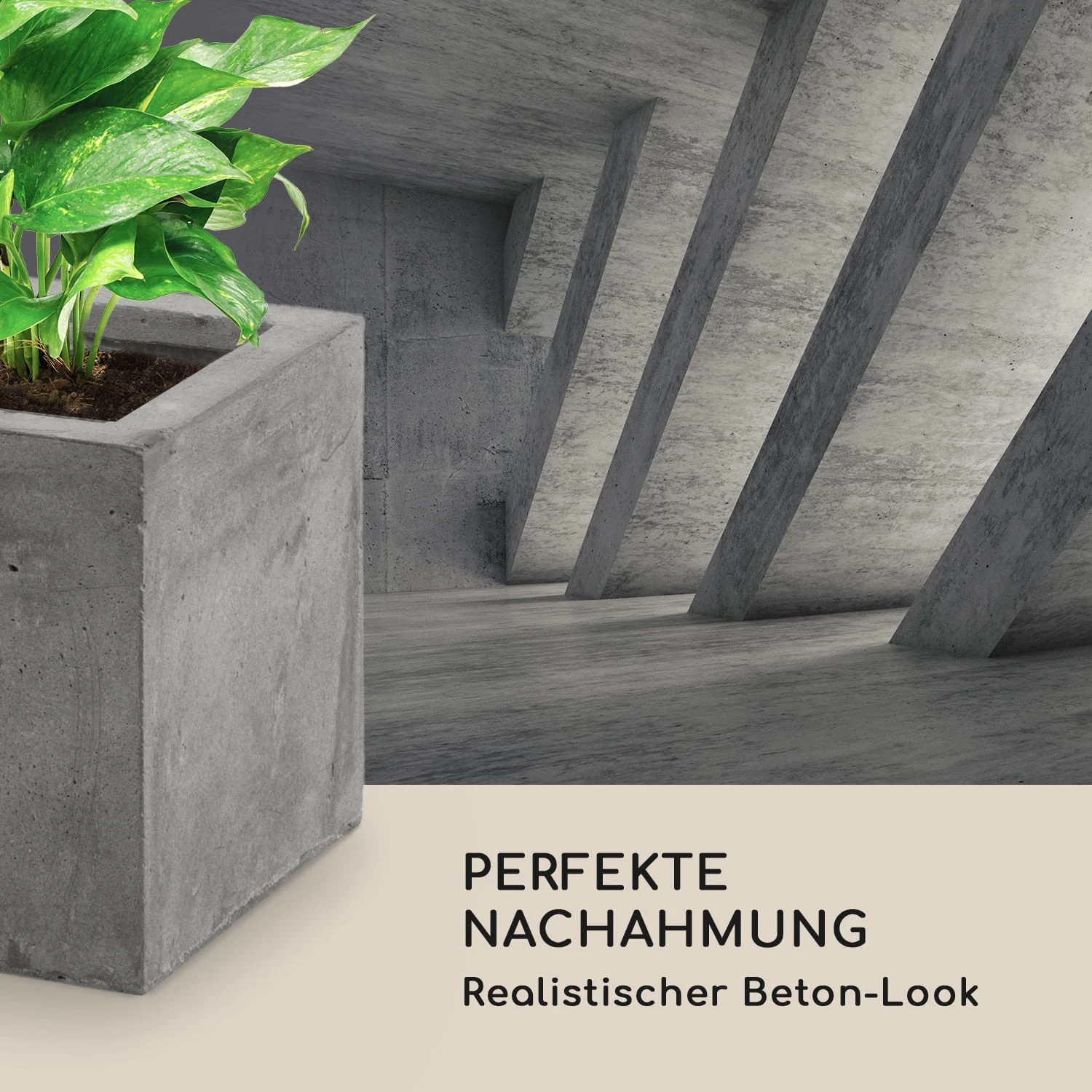 Solidflor Pflanztopf 75 X 20 X 20 Cm Fiberglas In-/Outdoor Hellgrau 10 Solidflor Pflanztopf 75 X 20 X 20 Cm Fiberglas In-/Outdoor Hellgrau – Bild 8