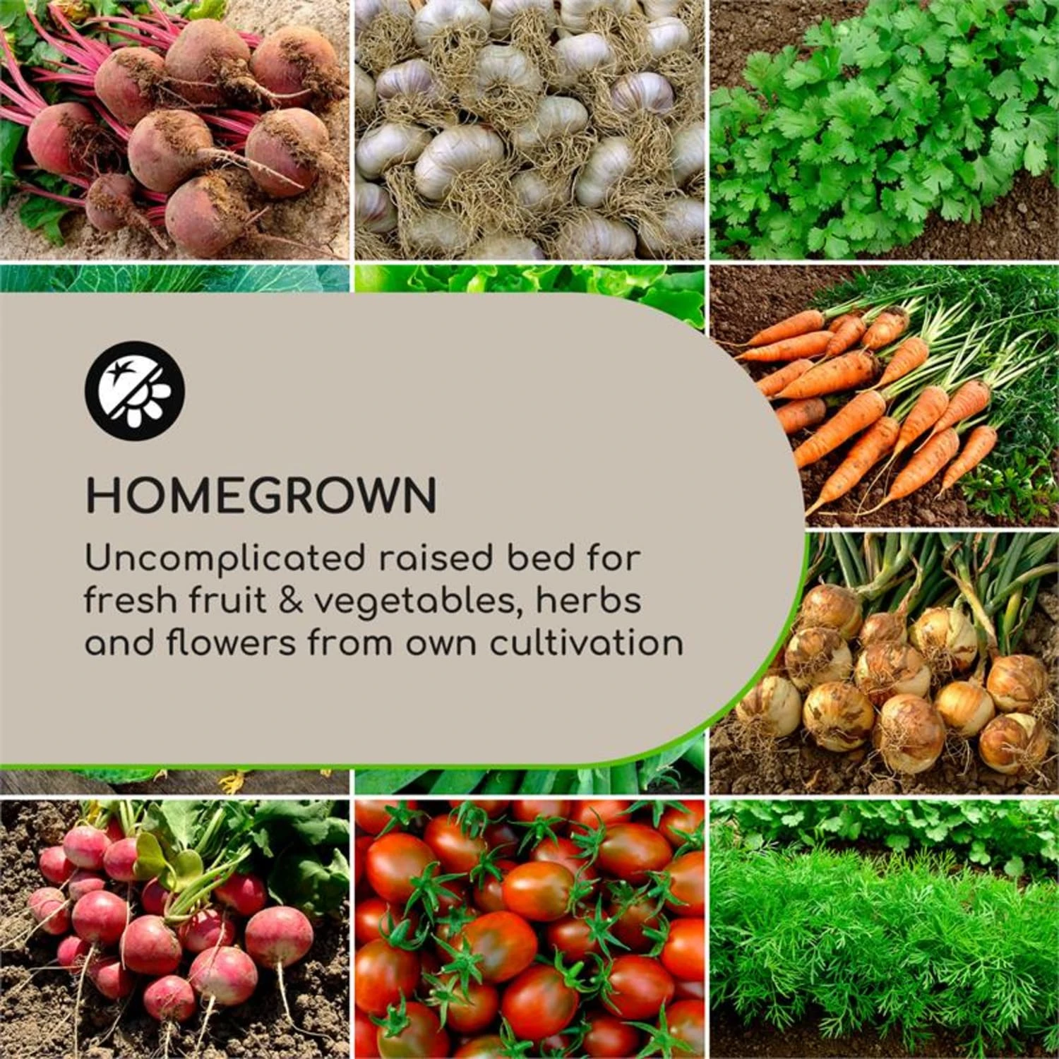 Mammutgrow Hochbeet 76 X 65 X 37 Cm UV- Und Frostschutz Anthrazit 5 Mammutgrow Hochbeet 76 X 65 X 37 Cm UV- Und Frostschutz Anthrazit – Bild 3