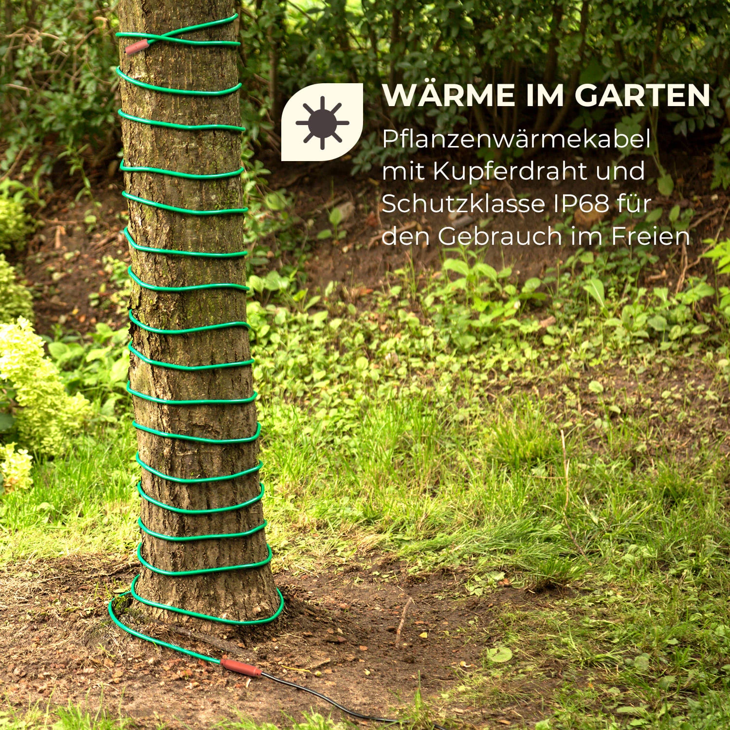 Greenwire Select 6 Pflanzenwärmekabel 6m Mit Thermostat IP68 4 Greenwire Select 6 Pflanzenwärmekabel 6m Mit Thermostat IP68 – Bild 2