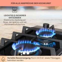 Alchemist Domino Gaskochfeld 2-flammig Aluminium-Brenner Glaskeramik -Heimladen 10034968 de 0005 usp