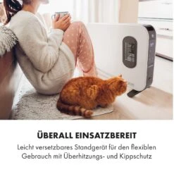 Baltrum Flow Elektroheizung Konvektor 2000 W Standgerät -Heimladen 10035034 de 0007 logo