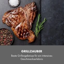 Steakreaktor Core Indoor Grillgerät Hochtemperaturgrill 2100W 800°C -Heimladen 10035085 de 0007 logo