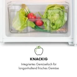 Spitzbergen Uni Kühlschrank 91 Liter 10-Liter-Gefrierfach 2 Böden 16 Spitzbergen Uni Kühlschrank 91 Liter 10-Liter-Gefrierfach 2 Böden -Heimladen 10035192 de 0006 logo