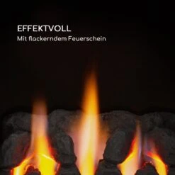 Andora Flame Gasheizofen Gasheizer Feuerschein Bis 3,4kW -Heimladen 10035407 de 0003 logo