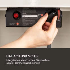 Goldflame Terrassenheizstrahler Gasheizer 11,2 KW Temperglas Mobil Edelstahl -Heimladen 10035962 de 0003 logo