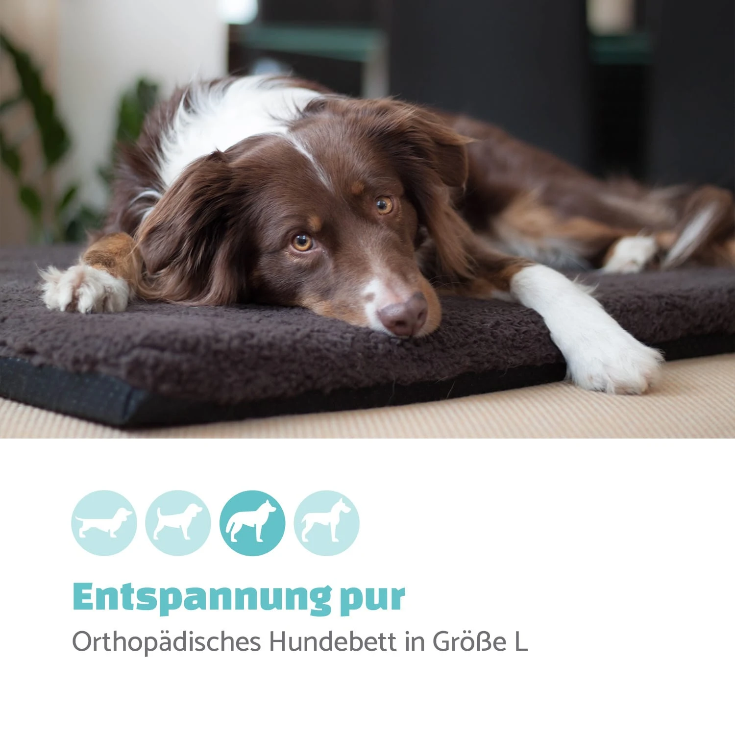 Luna Hundebett Waschbar Orthopädisch Rutschfest Memory-Schaum Größe L 4 Luna Hundebett Waschbar Orthopädisch Rutschfest Memory-Schaum Größe L – Bild 2