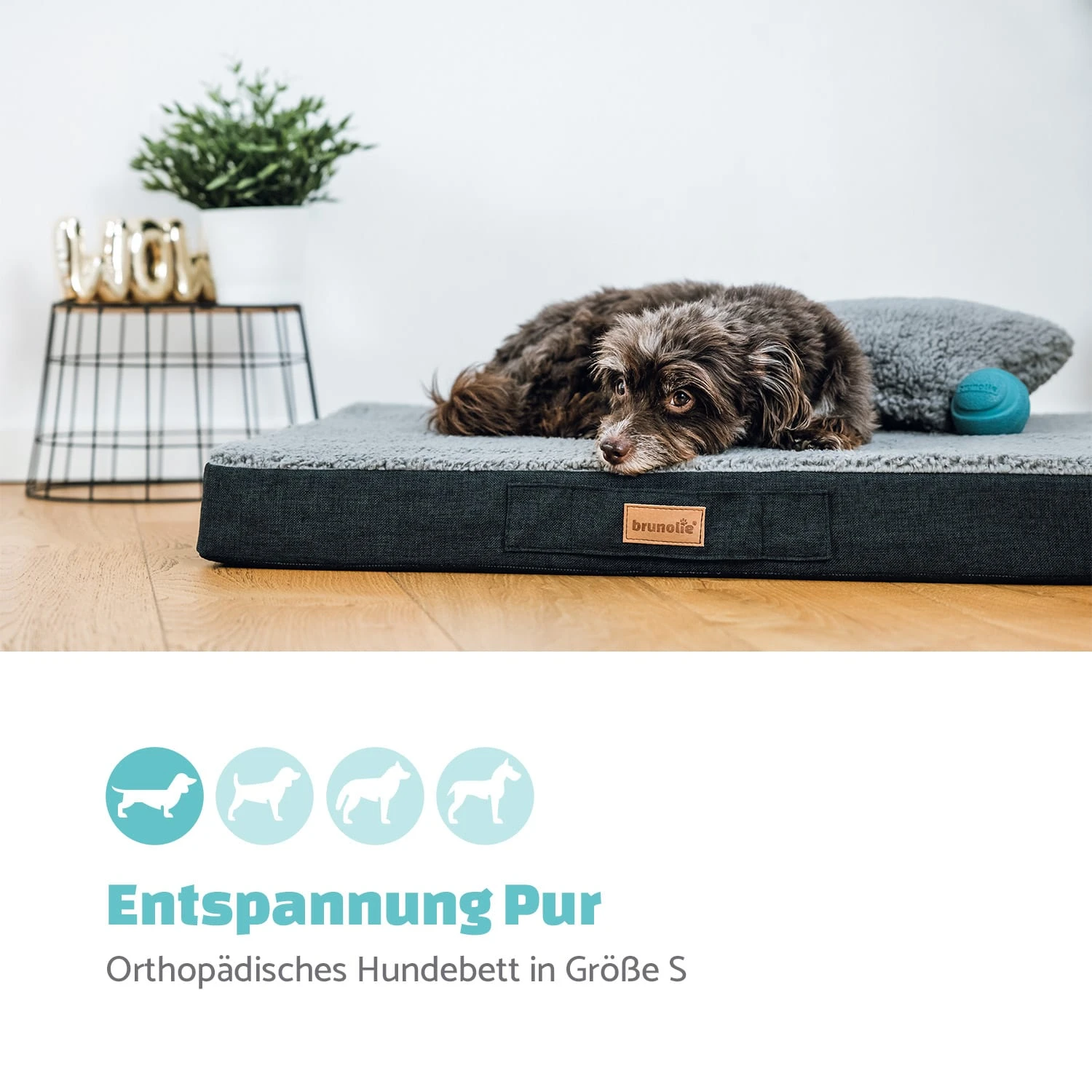 Balu Hundebett Hundekissen | Waschbar | Orthopädisch | Rutschfest | Atmungsaktiver Memory-Schaum | Größe S (72 X 8 X 50 Cm) 4 Balu Hundebett Hundekissen | Waschbar | Orthopädisch | Rutschfest | Atmungsaktiver Memory-Schaum | Größe S (72 X 8 X 50 Cm) – Bild 2