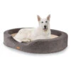 Lotte Hundebett Waschbar Orthopädisch Memory-Schaum Größe XL 1 Lotte Hundebett Waschbar Orthopädisch Memory-Schaum Größe XL -Heimladen 10037581 yy 0001 titel