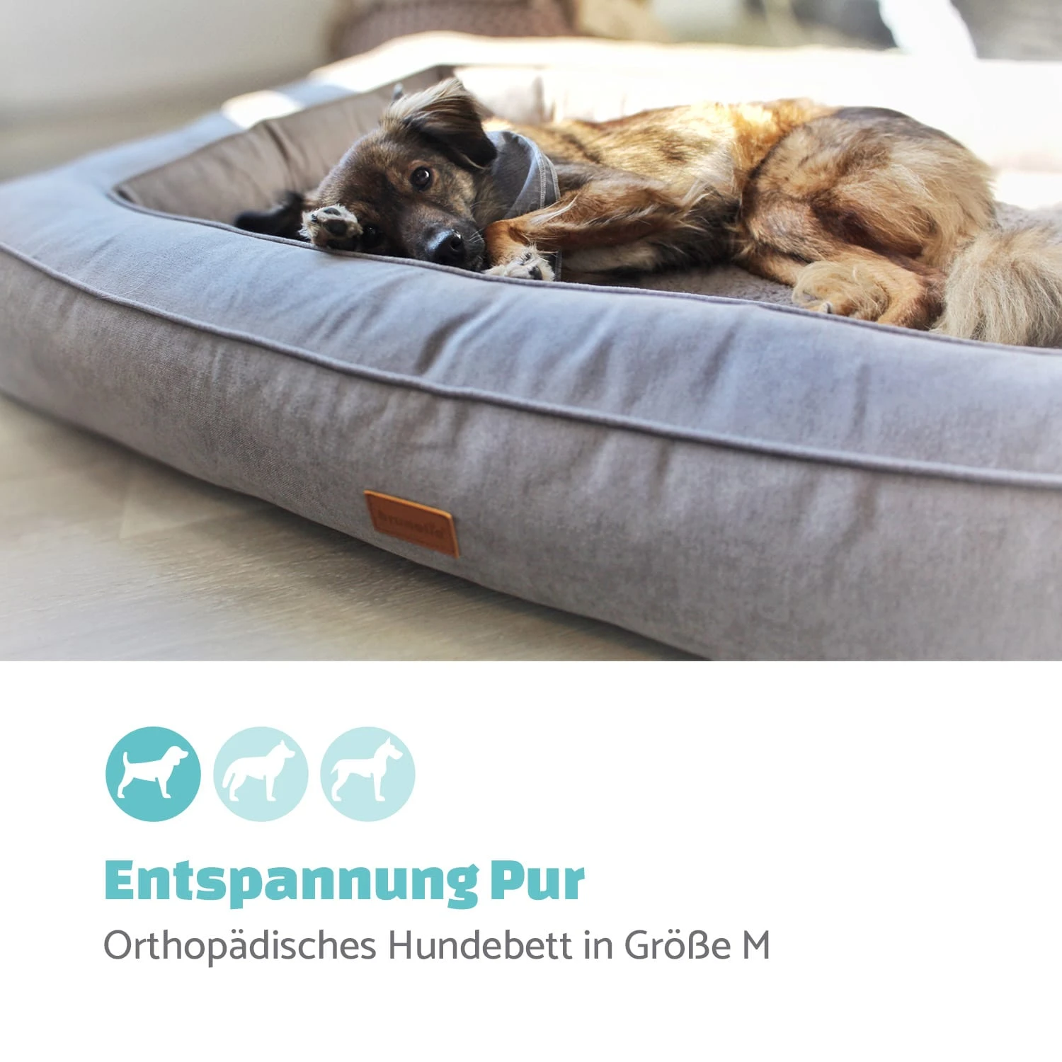 Bruno Hundebett Hundekorb | Waschbar | Orthopädisch | Rutschfest | Atmungsaktiv | Memory-Schaum | Größe M (80 X 17 X 55 Cm) 4 Bruno Hundebett Hundekorb | Waschbar | Orthopädisch | Rutschfest | Atmungsaktiv | Memory-Schaum | Größe M (80 X 17 X 55 Cm) – Bild 2