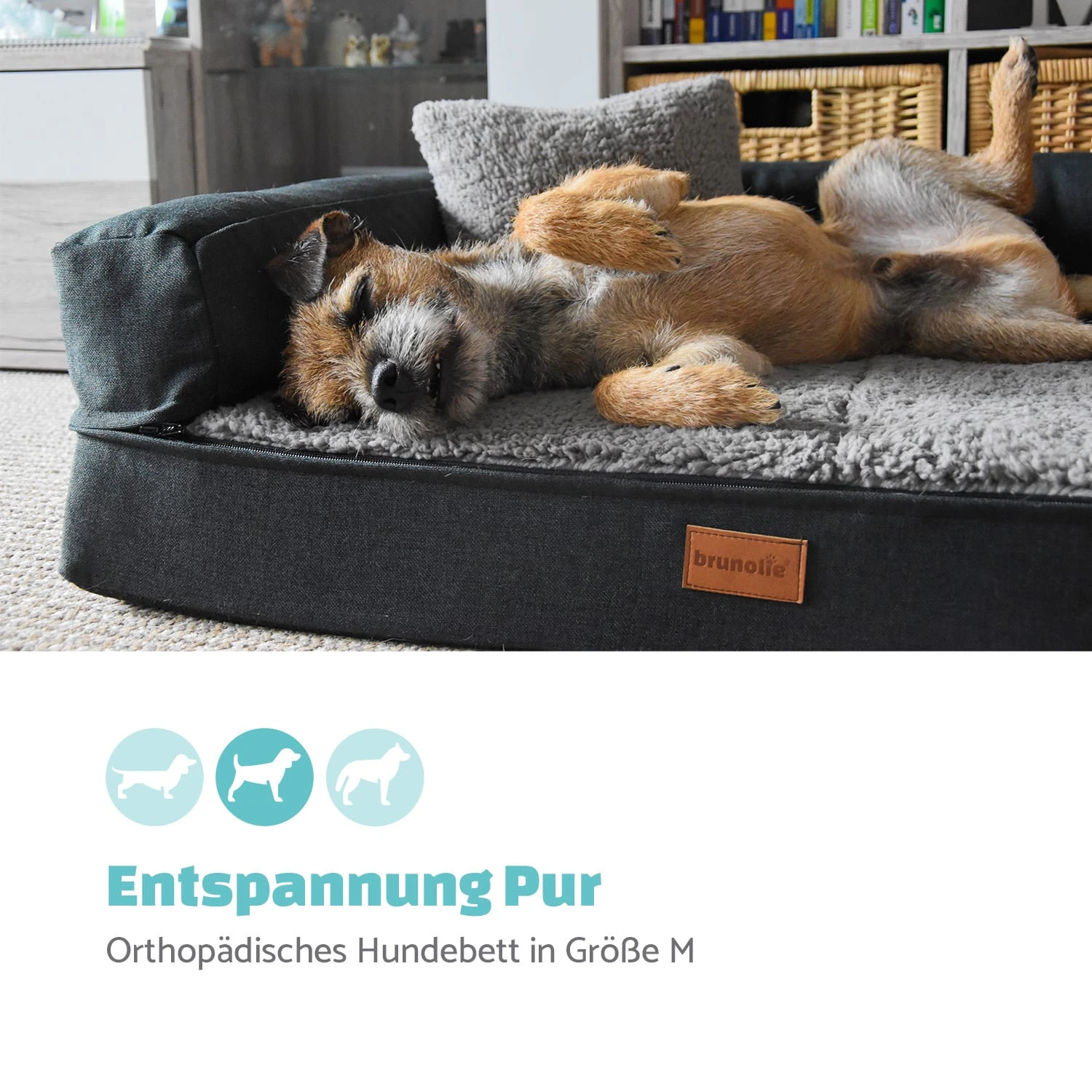 Odin Hundesofa Hundematte | Waschbar | Orthopädisch | Rutschfest | Atmungsaktiv | Memory-Schaum | Größe M (100 × 12 × 80 Cm) 4 Odin Hundesofa Hundematte | Waschbar | Orthopädisch | Rutschfest | Atmungsaktiv | Memory-Schaum | Größe M (100 × 12 × 80 Cm) – Bild 2