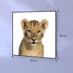 Wonderwall Air Art Smart Infrarotheizung Löwe 60x60cm 350W -Heimladen 10037833 yy 0007 logo