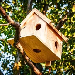 Eichhörnchenkobel Futterhaus Überwinterung 4 Zugänge Pinienholz Unbehandelt Handgefertigt -Heimladen 10038066 yy 0005 logo
