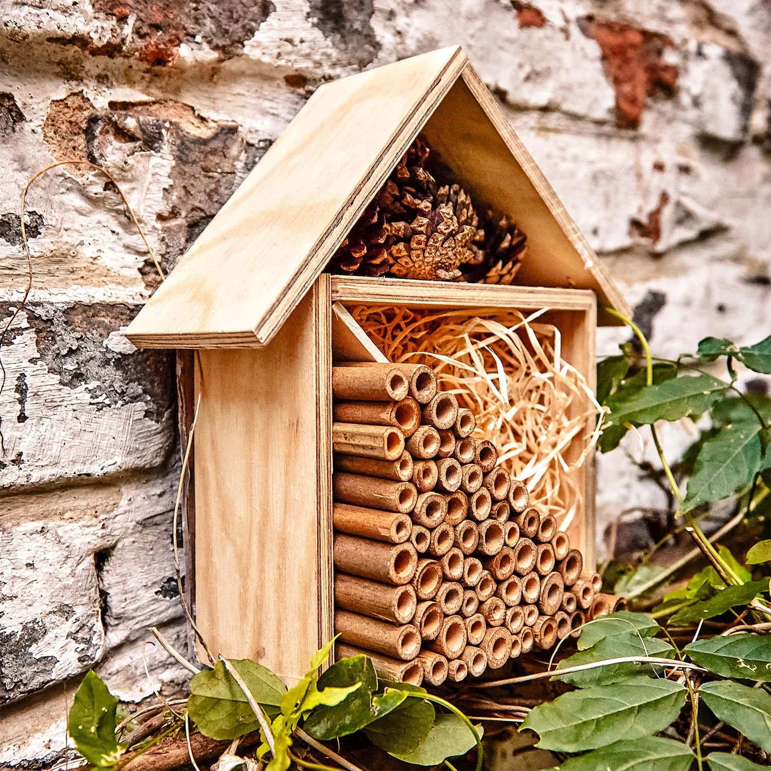 Bambusröhrchen 70 Stück Je 15 Cm Länge Holzfarben 7 Bambusröhrchen 70 Stück Je 15 Cm Länge Holzfarben – Bild 5