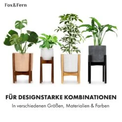 Deventer Pflanzenhalter Für Töpfe Von 20,3-30,5 Cm Ø 2 Höhen 15 Deventer Pflanzenhalter Für Töpfe Von 20,3-30,5 Cm Ø 2 Höhen -Heimladen 10038446 de 0007 usp