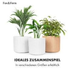 Hasselt Blumentopf Polystone Pflanzenfreundlich Handgemacht 3D-Optik 14 Hasselt Blumentopf Polystone Pflanzenfreundlich Handgemacht 3D-Optik -Heimladen 10038548 de 0006 usp